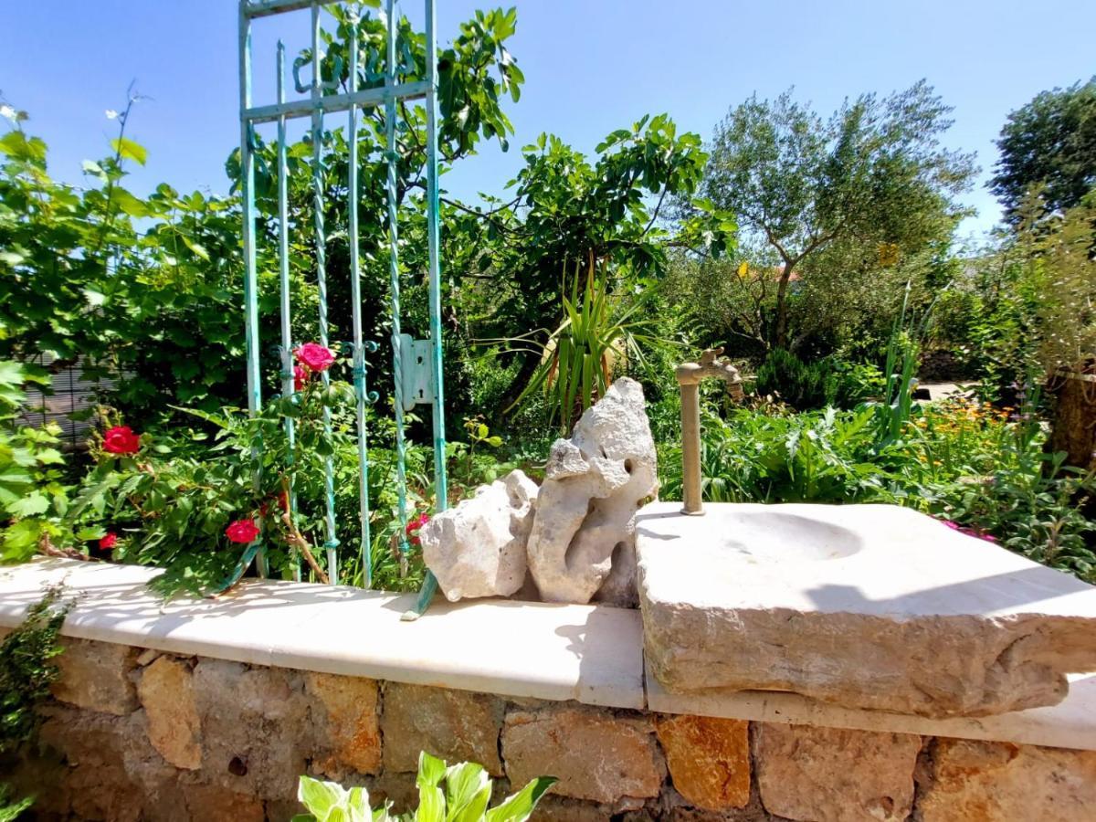 Apartments Z نجيفيش المظهر الخارجي الصورة